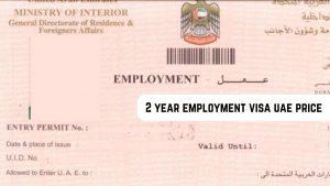 2 year employment visa uae price