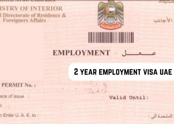 2 year employment visa uae price