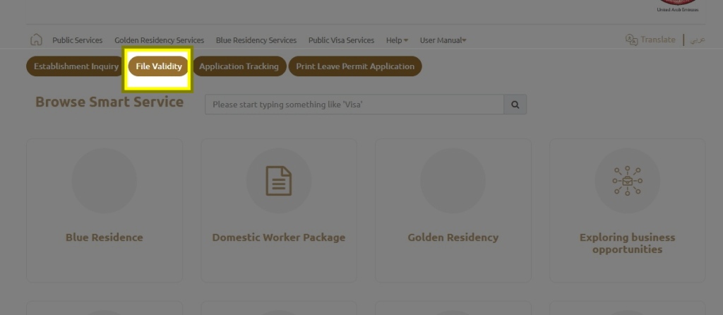 How to Instantly Check Your Dubai Visit Visa